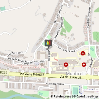 Autoveicoli Elettrici,63100Ascoli Piceno