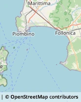 Motori Fuoribordo Rio Marina,57038Livorno