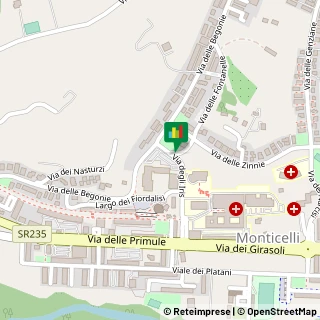 Via degli Iris, 13,63100Ascoli Piceno