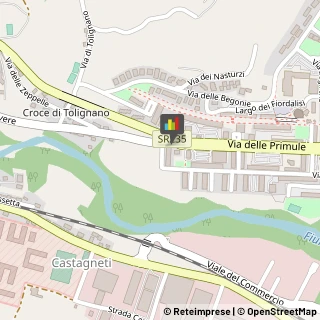 Articoli per Ortopedia Ascoli Piceno,63100Ascoli Piceno