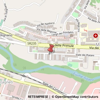 Mappa Viale dei Platani, 6, 63100 Ascoli Piceno, Ascoli Piceno (Marche)
