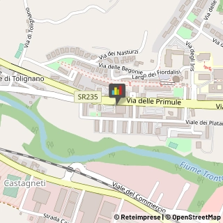 Consulenze Speciali,63100Ascoli Piceno