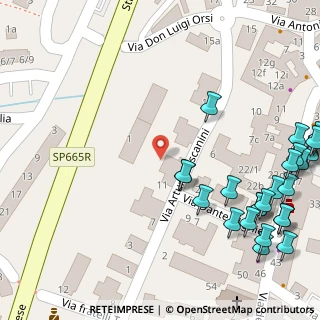 Mappa Via Arturo Toscanini, 43013 Langhirano PR, Italia (0.08846)