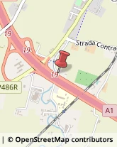 Strada Stradella, 51,41125Modena