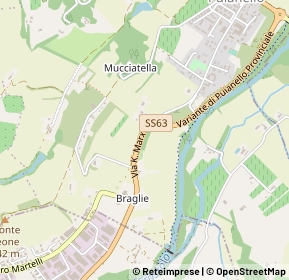 Mappa Strada Statale 63, 42020 Quattro Castella RE, Italia (0.61154)