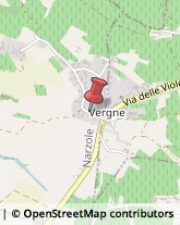 Frazione Vergne, 21,12068Narzole