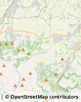 Aziende Agricole Quattro Castella,42020Reggio nell'Emilia