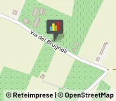 Giardinaggio - Servizio Scandiano,42019Reggio nell'Emilia