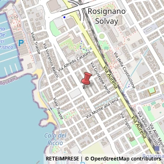 Mappa Piazza Monte alla Rena, 50, 57016 Rosignano Marittimo, Livorno (Toscana)