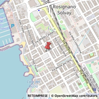 Mappa Piazza Monte alla Rena, 41, 57016 Rosignano Marittimo, Livorno (Toscana)