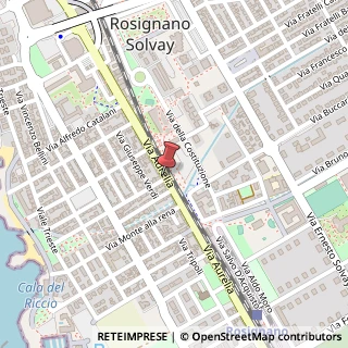 Mappa Via Aurelia, 463, 57016 Rosignano Marittimo, Livorno (Toscana)