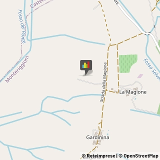 Aziende Agricole,53035Siena