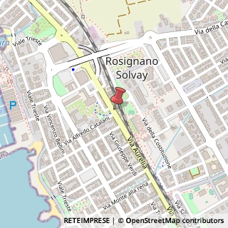 Mappa Via Aurelia, 294, 57016 Rosignano Marittimo, Livorno (Toscana)