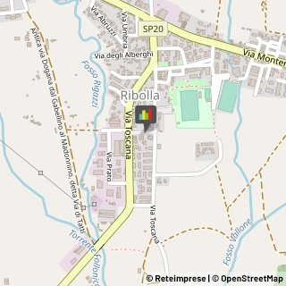 Naturopatia Roccastrada,58027Grosseto