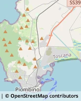 Aziende Agricole Piombino,57025Livorno