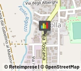 Autolinee Roccastrada,58036Grosseto