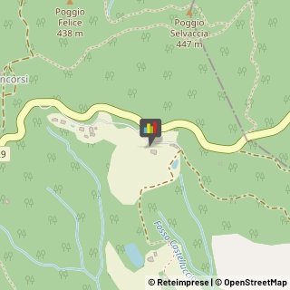 Agriturismi Sassetta,57020Livorno