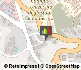 Dermatologia - Medici Specialisti Camerino,62032Macerata