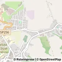Carte Camerino