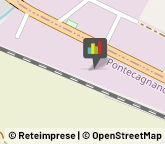 Frutta e Verdura - Dettaglio,84090Salerno
