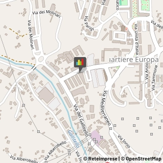 Imbalsamatori,85100Potenza
