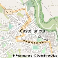 Harita Castellaneta