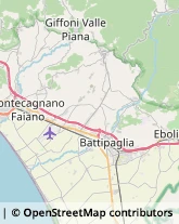 Agrumi Battipaglia,84091Salerno