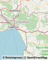 Agrumi Salerno,84131Salerno