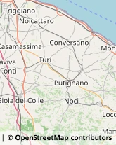 Trasportatori Meccanici Noci,70015Bari