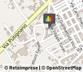 Idraulici e Lattonieri Castellana Grotte,70013Bari