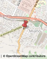 Via Miano, 131,80145Napoli