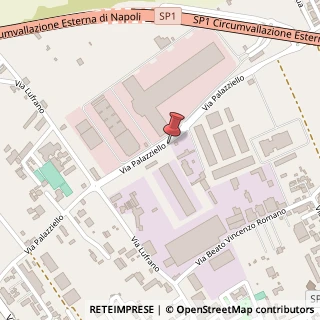 Mappa Via Palazziello, 102, 80040 Volla, Napoli (Campania)