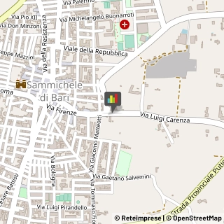 Palestre e Centri Fitness Sammichele di Bari,70010Bari