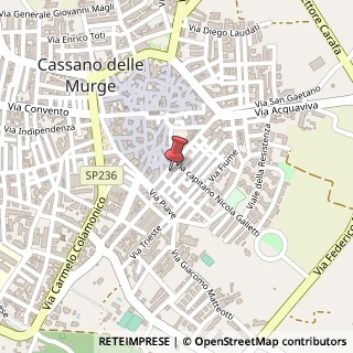 Mappa Via Antonio Gramsci, 49, 70020 Cassano delle Murge, Bari (Puglia)