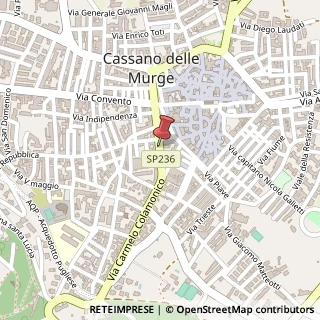 Mappa Via Vittorio Emanuele III, 7, 70020 Cassano delle Murge, Bari (Puglia)