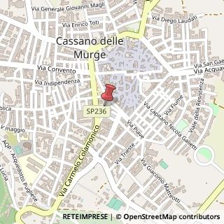Mappa Via Thaon Di Revel, 20, 70020 Cassano delle Murge, Bari (Puglia)