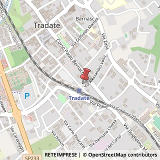 Mappa Via Antonio Cantore, 5, 21049 Tradate, Varese (Lombardia)