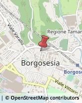 Via Borgognoni, 10,13011Borgosesia
