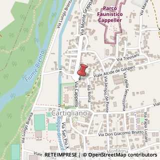 Mappa Viale Cappello, 26, 36050 Cartigliano, Vicenza (Veneto)