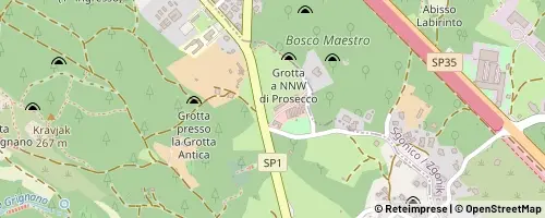 Mappa Triest