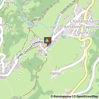 Aziende Agricole Challand-Saint-Anselme,11020Aosta