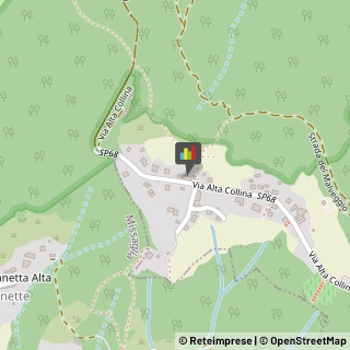 Naturopatia Montevecchia,23874Lecco