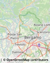 Feste - Organizzazione e Servizi Zogno,24019Bergamo