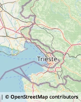 Conserve Sgonico,34010Trieste