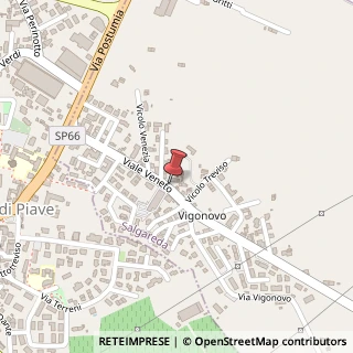 Mappa Viale Veneto, 32, 31040 Salgareda, Treviso (Veneto)