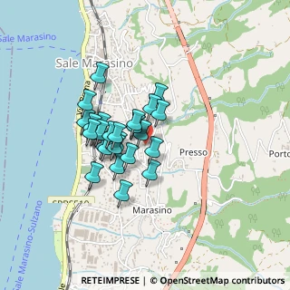 Mappa Via Giuseppe Verdi, 25057 Sale Marasino BS, Italia (0.31111)