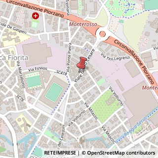 Mappa Viale Giulio Cesare, 22, 24123 Bergamo, Bergamo (Lombardia)