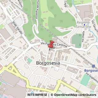 Mappa Via Borgognoni, 8, 13011 Borgosesia, Vercelli (Piemonte)