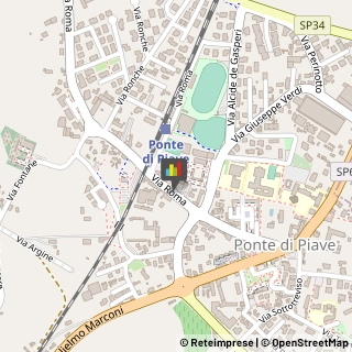 Vivai Piante e Fiori,31047Treviso