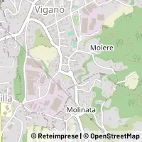 Map Viganò